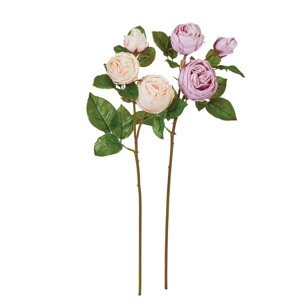 asca ローズ×3 1本