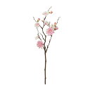 asca 花桃×7 つぼみ×6 ツ-トンピンク 1本