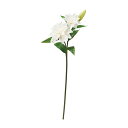 asca リリィ×2 つぼみ×1 クリ−ムホワイト 1本
