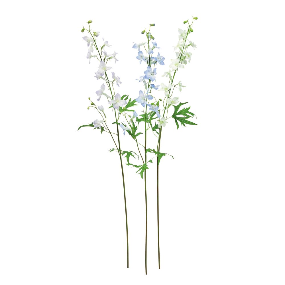 asca デルフィニウム 1本