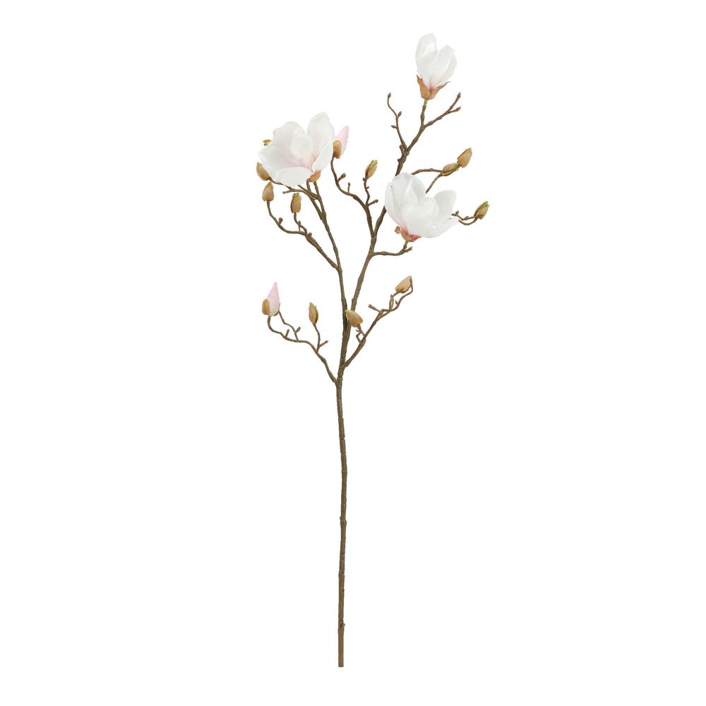 ＼エントリーでP10倍／ asca マグノリア×3　つぼみ×13 クリ−ムピンク 1本