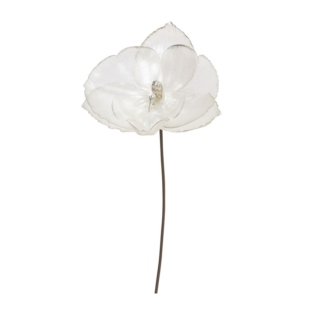 asca コチョウランピック パ−ル 1本