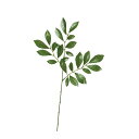 asca 榊 グリ-ン 1本