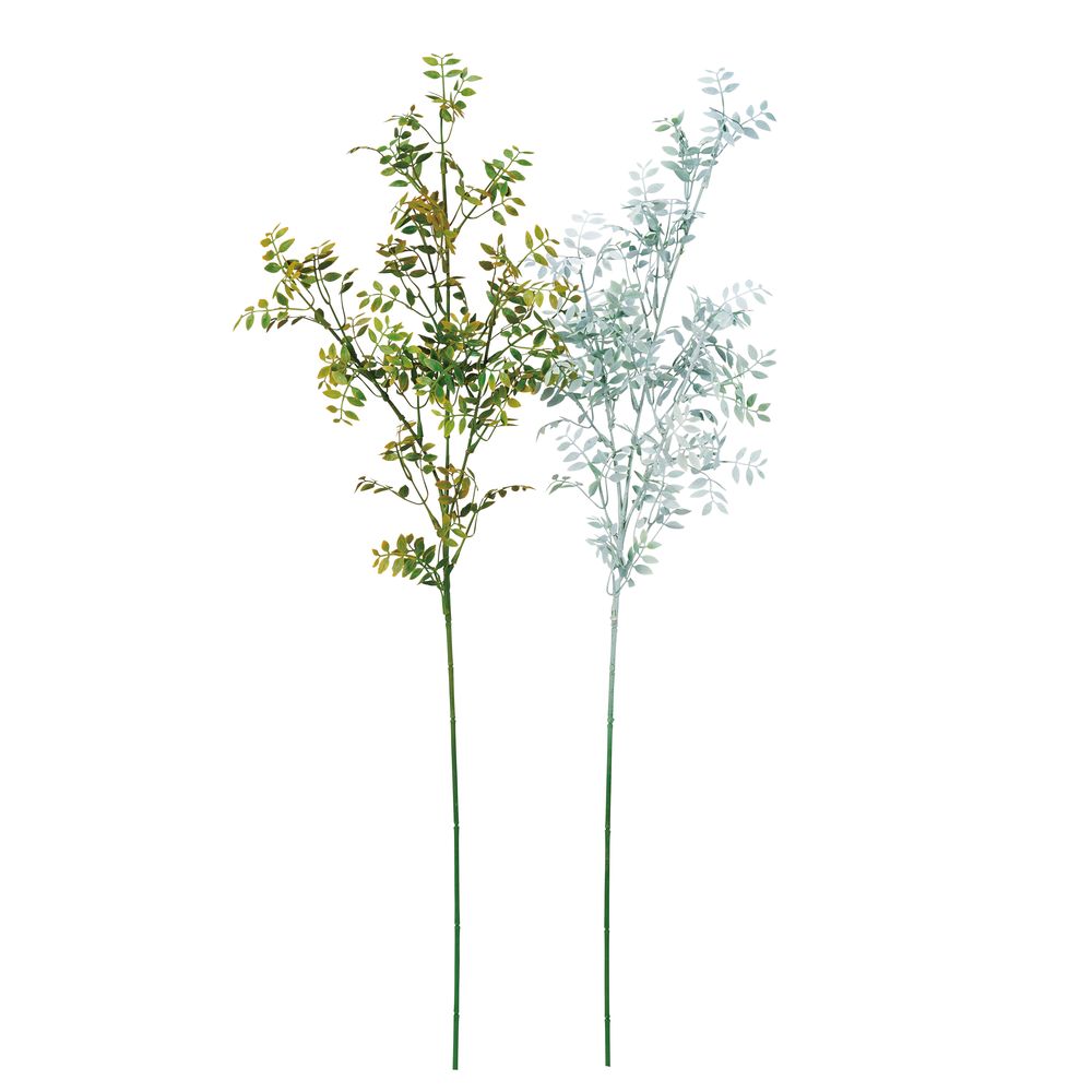 asca リーフスプレー 1本