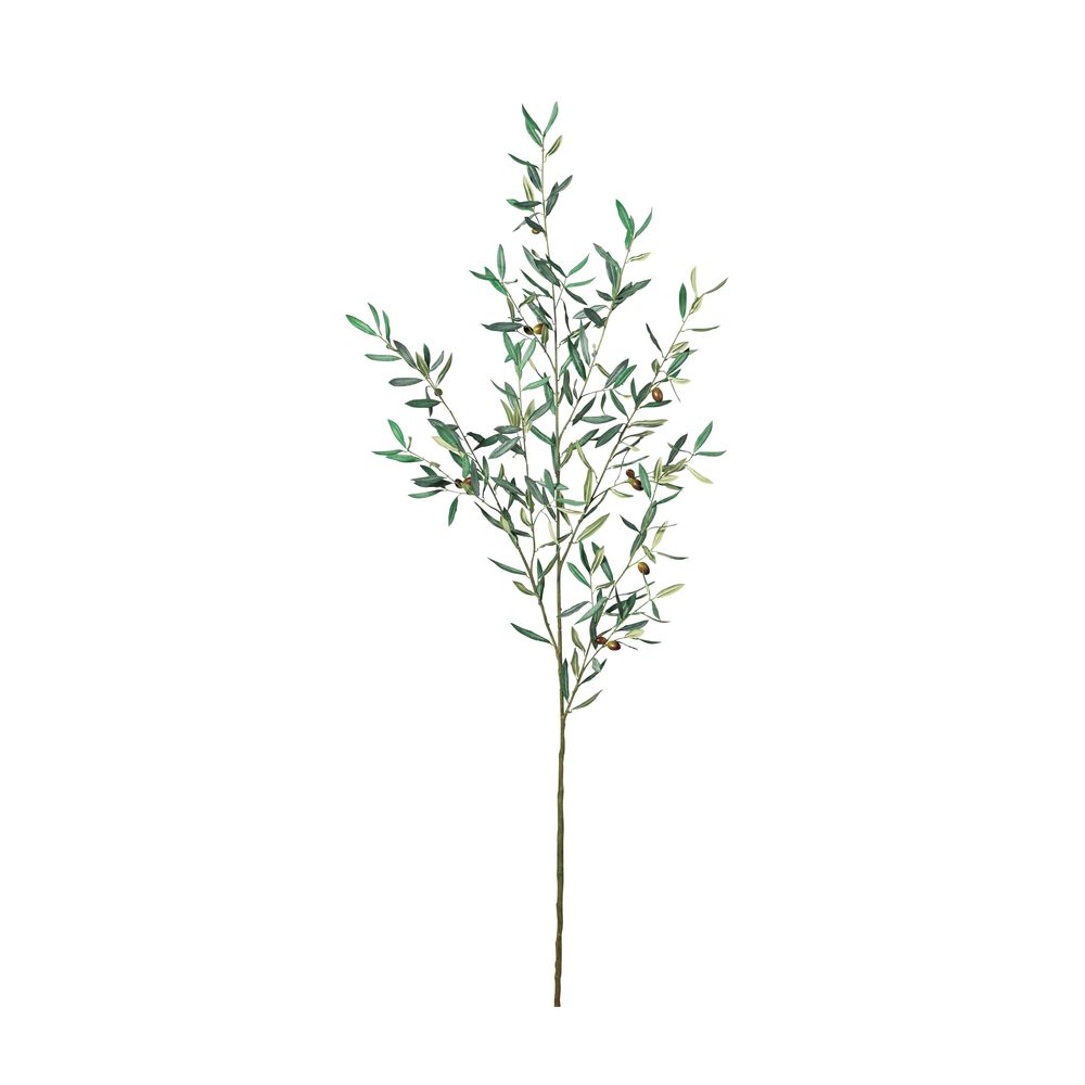 asca オリーブ グレイグリ−ン 1本