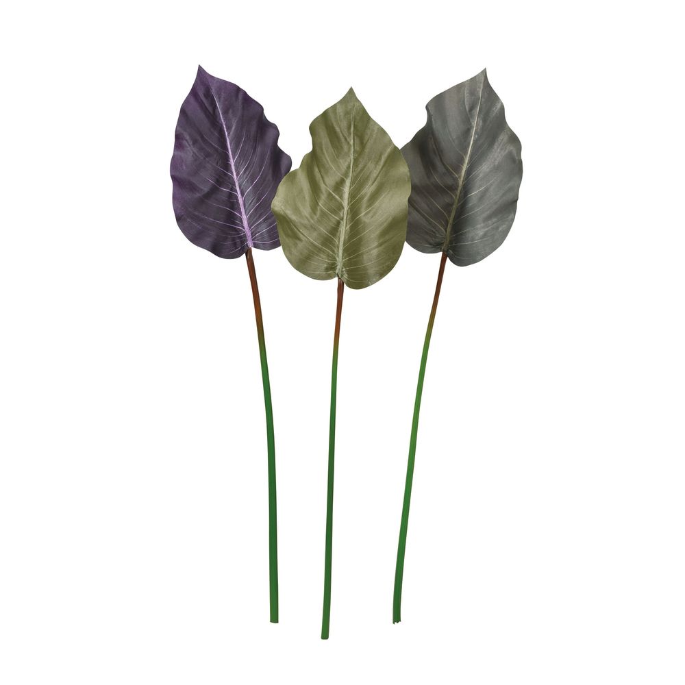 asca リーフスプレー 1本