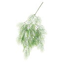asca リーフバイン ライトグリ-ン 1本