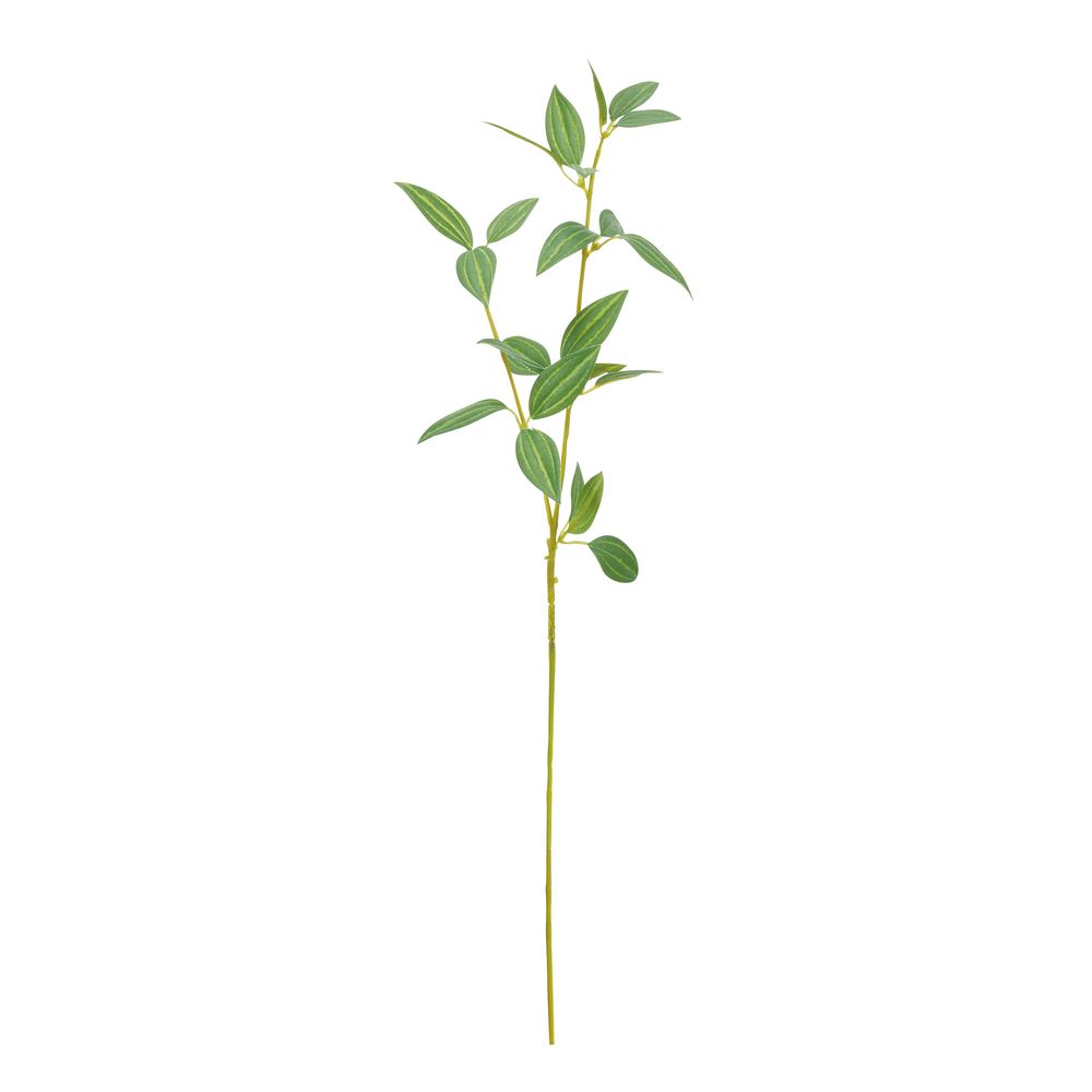 asca リーフスプレー グリ-ン 1本