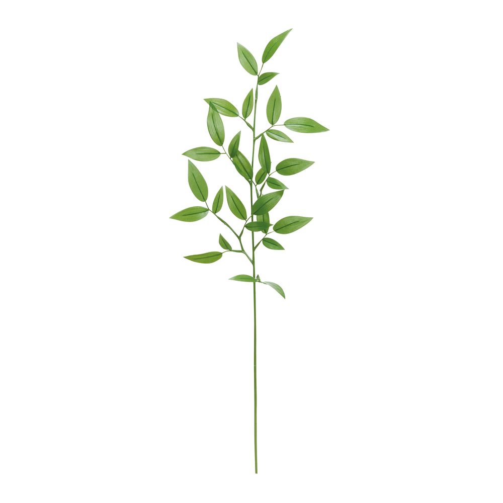 asca バンブーリーフスプレー グリ−ン 1本