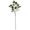 asca ユーカリ フェイクグリーン 人工観葉植物 造花