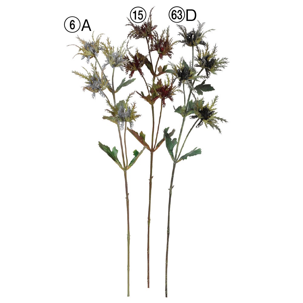 エリンジウムの花言葉と誕生花 花の持つ言葉