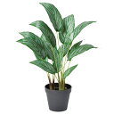 カラテア(簡易ポット付) グリ-ン 48cm フェイクグリーン 人工観葉植物 造花 リアル 人工樹木