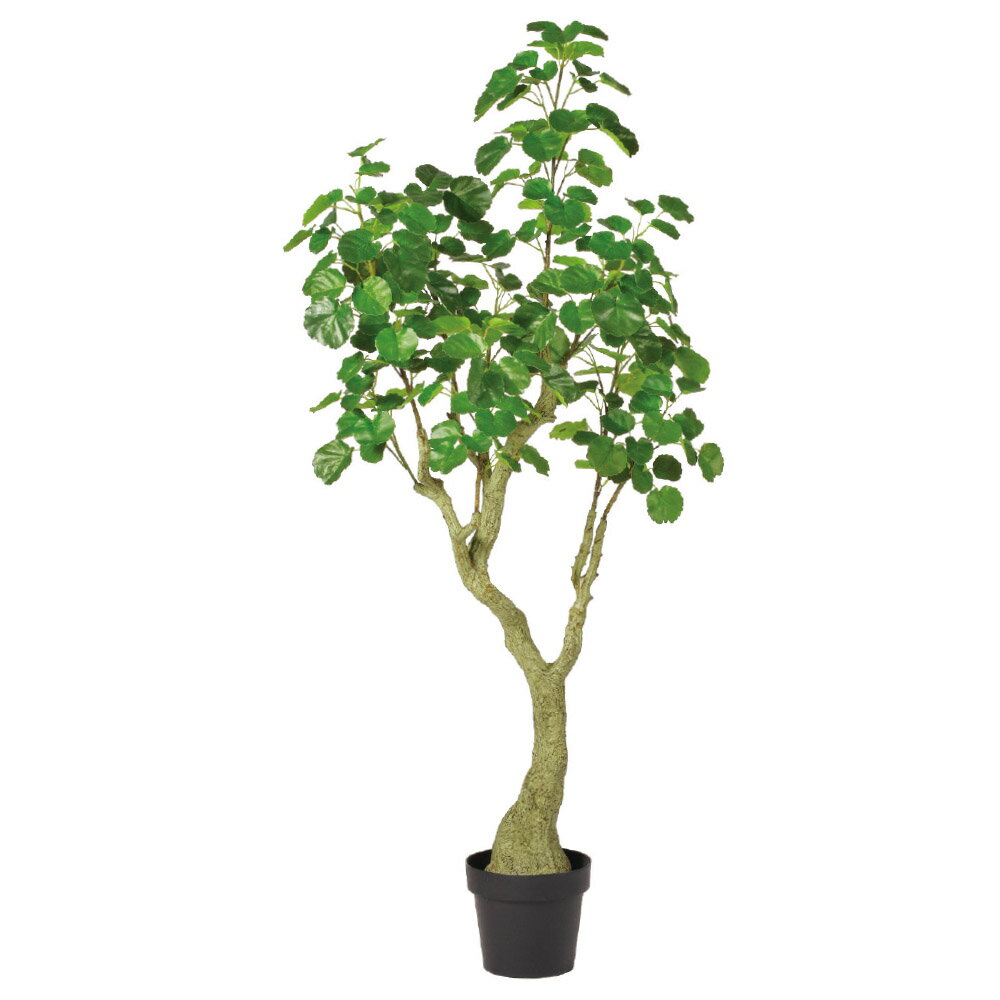 シールドアラリア（簡易ポット付） グリ−ン 150cm フェイクグリーン 人工観葉植物 造花 リアル 人工樹木