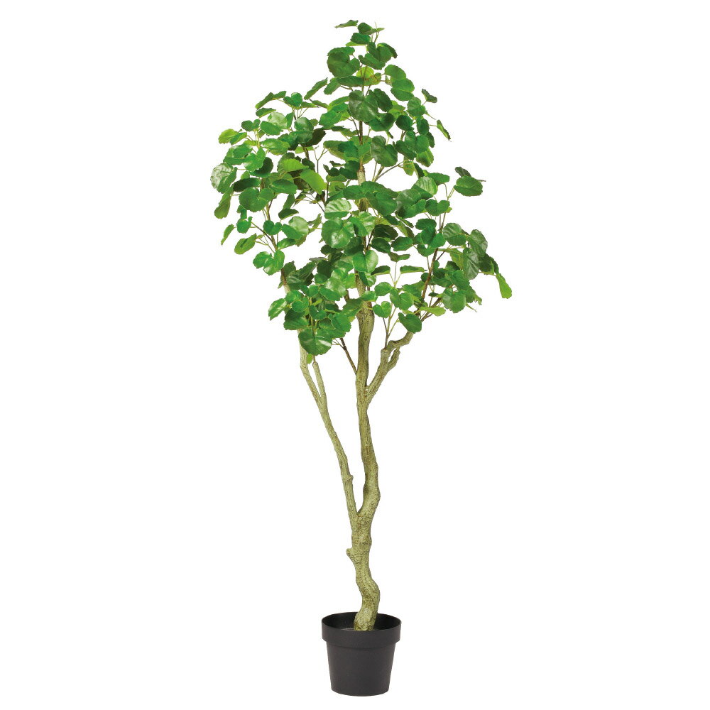 シールドアラリア（簡易ポット付） グリ－ン 165cm フェイクグリーン 人工観葉植物 造花 リアル 人工樹木