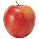 asca アップル 資材 飾り 食品サンプル 撮影 小道具 小物 撮影用