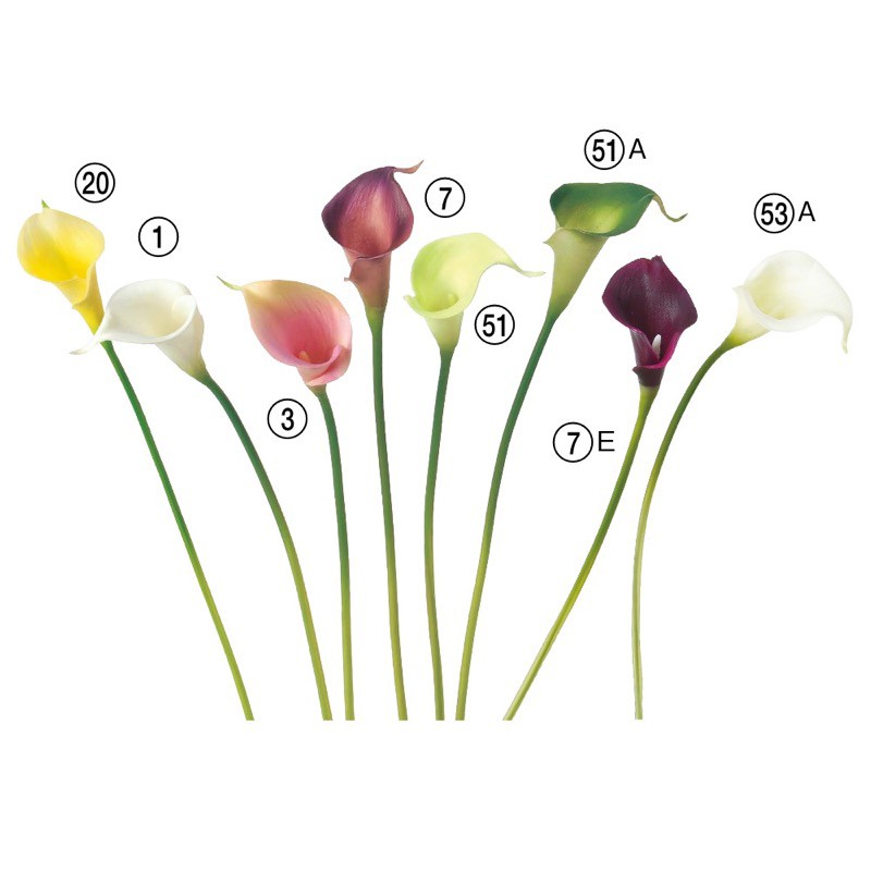 乐天商城 - asca カラーリリィ（S） 花材 造花 撮影 小道具 小物 撮影用