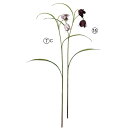 asca フリチラリア 花材 造花 撮影 小道具 小物 撮影用