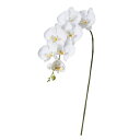 asca コチョウラン 胡蝶蘭 花材 造花 撮影 小道具 小物 撮影用