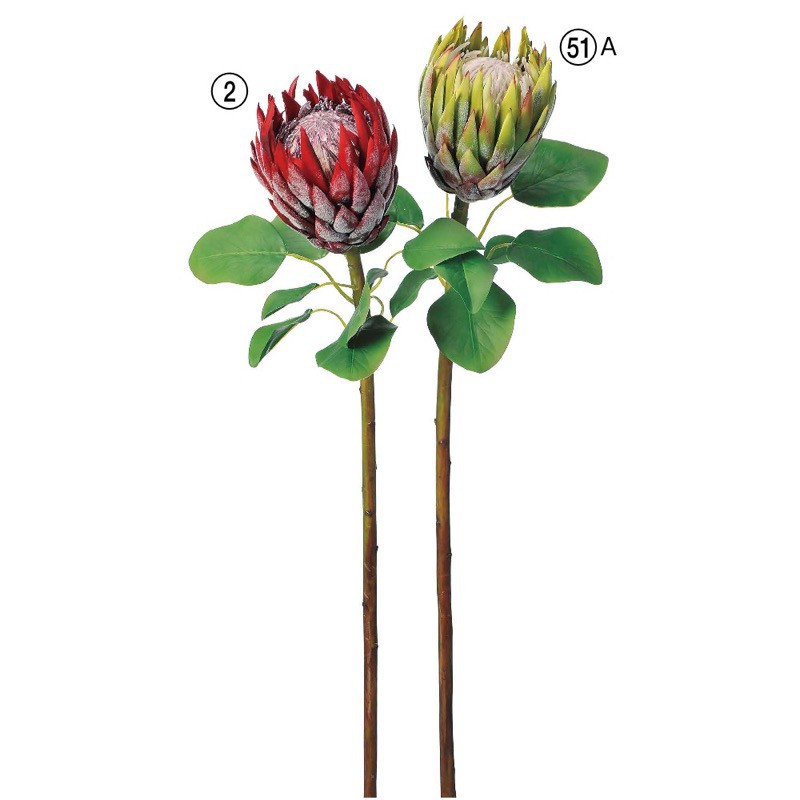 樂天商城 - asca プロテア 花材 造花 撮影 小道具 小物 撮影用