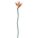 asca ストレチア 花材 造花 撮影 小道具 小物 撮影用