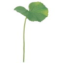 asca ゲイラックス(S) 花材 造花