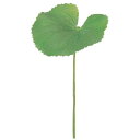 asca ゲイラックス(L) 花材 造花