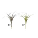 asca ティランドシア 花材 造花 撮影 小道具 小物 撮影用