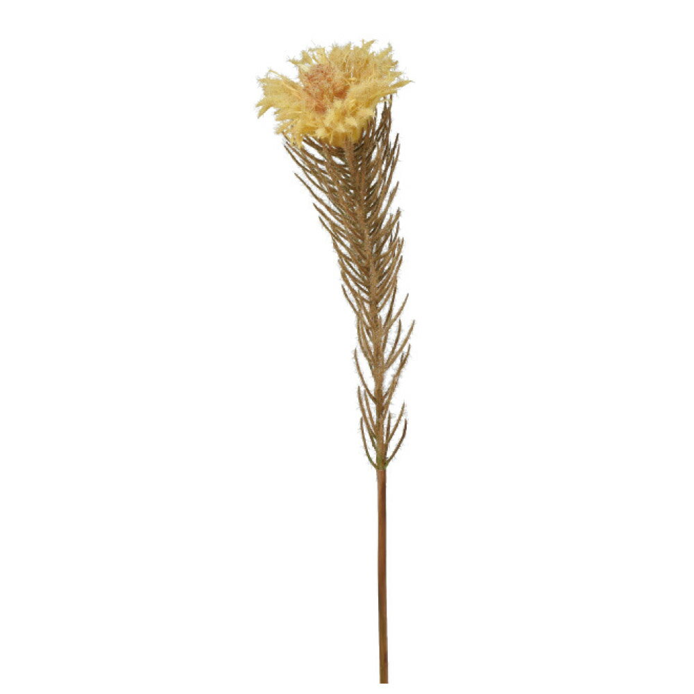 asca フィリカ 花材 造花 フラワー 資材 ディスプレイ アレンジメント 装飾 撮影 小道具 小物 撮影用