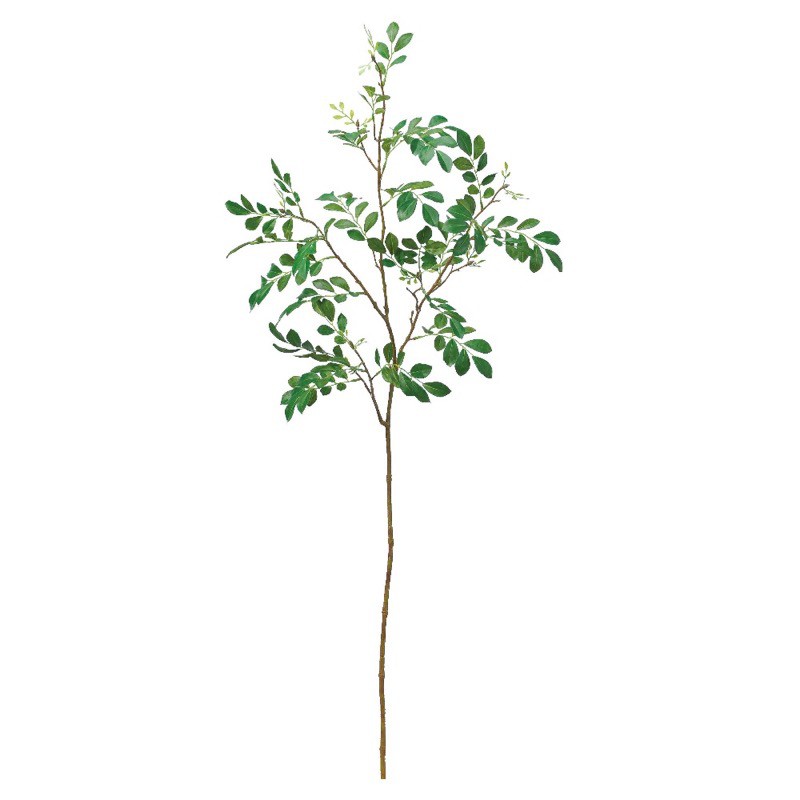 Other - asca トネリコ 花材 造花 撮影 小道具 小物 撮影用