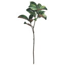 asca マグノリアリーフ 花材 造花 撮影 小道具 小物 撮影用