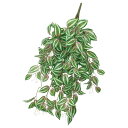 asca ワンダリングジューハンギングスプレー 花材 造花