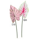 asca カラジューム 花材 造花 撮影 小道具 小物 撮影用