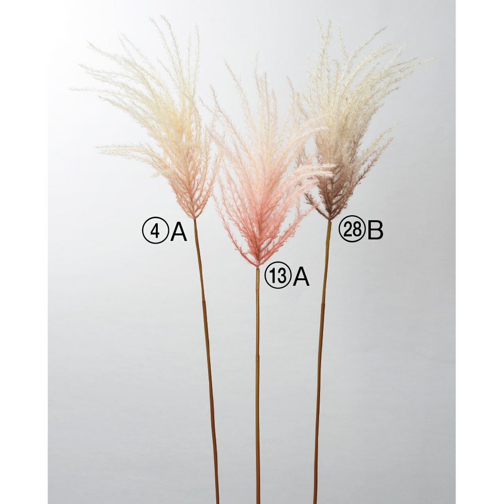仕様・規格L130cm、穂=50cm 素材ポリエチレン 関連商品asca 梅 花材 造花 撮影 小道具 小物 撮影用...花材 造花 asca パンパス スプレイ 撮影 小道具 小物 撮影用...asca ユーカリスプレー フェイクグリーン 観葉植物 造花 撮影 小...2,134円2,052円2,077円asca パンパス 花材 造花 フラワー 資材 ディスプレイ アレンジ...asca ユーカリベリー 花材 造花 撮影 小道具 小物 撮影用...asca リーフスプレー フェイクグリーン 観葉植物 造花 撮影 小道...2,208円2,068円2,103円asca ボケ 花材 造花 撮影 小道具 小物 撮影用...asca ユーカリシードスプレー 花材 造花 撮影 小道具 小物 撮影...asca ユーカリスプレー 1本2,235円2,134円2,077円asca ジプソフィラ 花材 造花 撮影 小道具 小物 撮影用...asca ミモザ 花材 造花 撮影 小道具 小物 撮影用...asca ニゲラ 花材 造花 撮影 小道具 小物 撮影用...2,068円2,178円2,068円