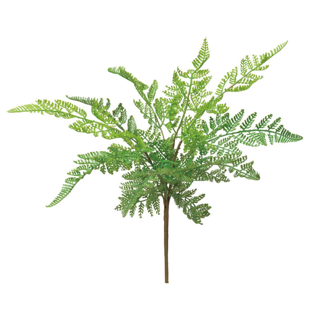 乐天商城 - asca ファーンリーフブッシュ フェイクグリーン 観葉植物 造花