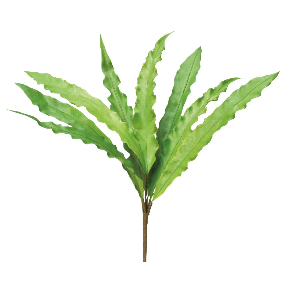 樂天商城 - asca ファーンリーフブッシュ フェイクグリーン 観葉植物 造花