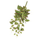 asca ワンダリングジューハンギングブッシュ フェイクグリーン 観葉植物 造花