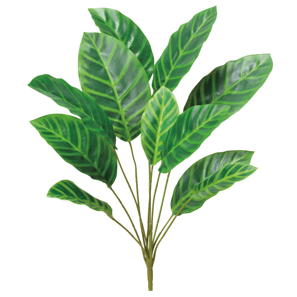 乐天商城 - asca カラテアブッシュ フェイクグリーン 観葉植物 造花
