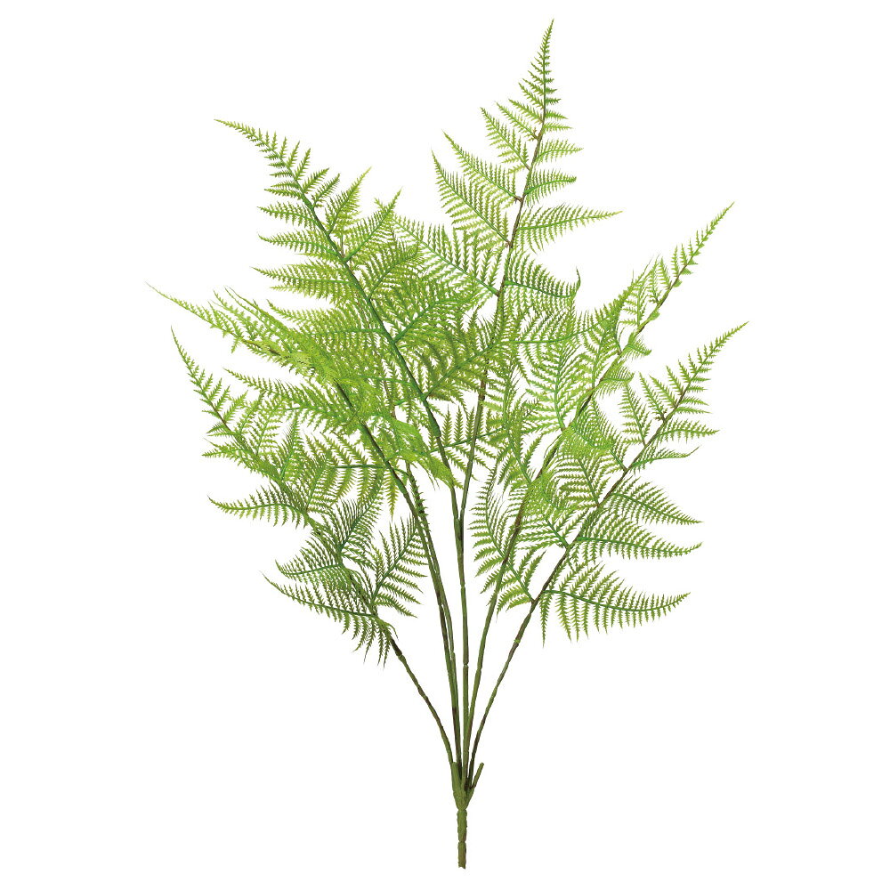 乐天商城 - asca ファーンブッシュ フェイクグリーン 観葉植物 造花