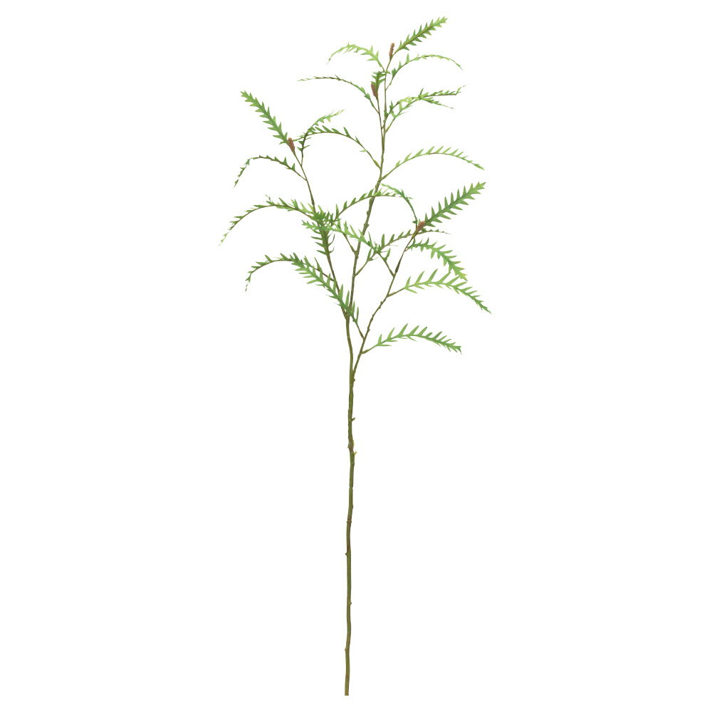 樂天商城 - asca グレビレアリーフ フェイクグリーン 観葉植物 造花