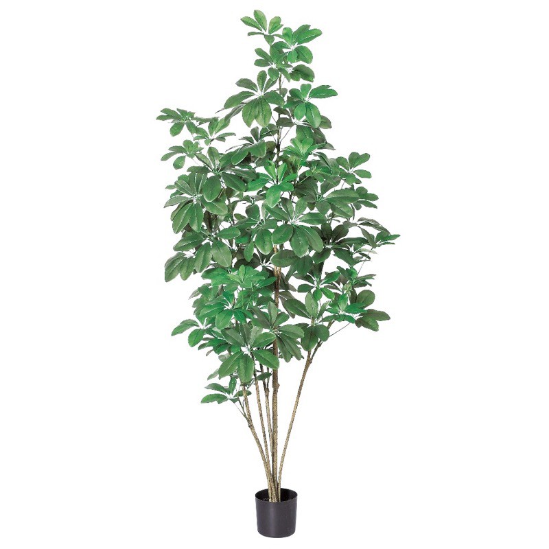 樂天商城 - asca シェフレラ 簡易ポット付 フェイクグリーン 人工観葉植物 造花