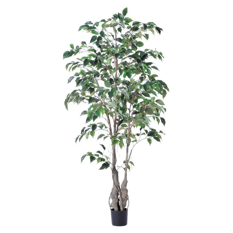 樂天商城 - asca ファイカスツリー 簡易ポット付 フェイクグリーン 人工観葉植物 造花