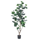 asca インディアンアーモンド 簡易ポット付 フェイクグリーン 人工観葉植物 造花
