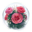 【お買い物マラソン限定 10%OFFセール】母の日 花 2025 プレゼント ドライフラワー ガラスドーム 花 ギフト プレゼント バラ 薔薇 贈り物 お祝い ...