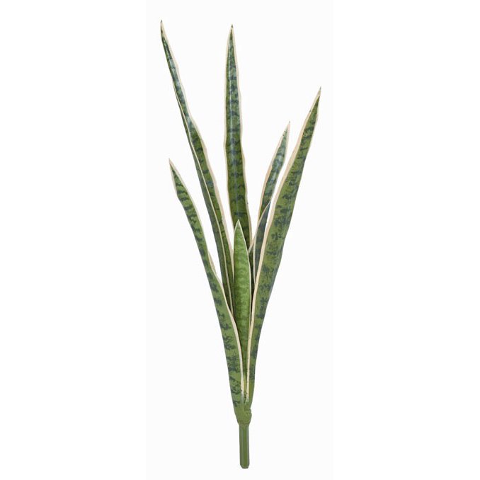 ͹տʪ 󥻥٥ꥢ֥å S ꡼󡿥ۥ磻 󥹥٥ꥢ 78cm տʪ ¤ ե꡼  CT ...