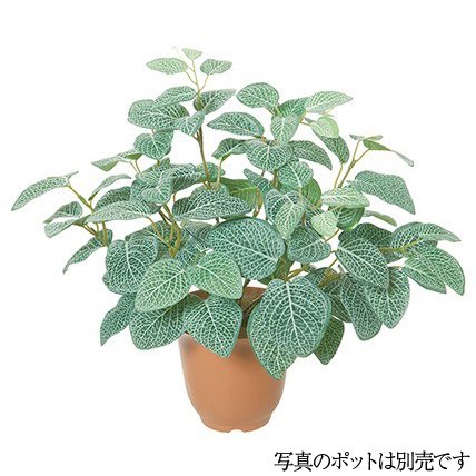 【マラソン期間中P5倍】人工観葉植物 フィトニアブッシュ フィットニア 38cm フェイクグリーン 観葉植物 造花 光触媒 CT触媒 インテリア [G-L]