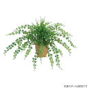 観葉植物 造花 屋外対応 アジアンタムブッシュ 48cm 人工観葉植物 フェイクグリーン 光触媒 CT触媒 インテリア [G-L]