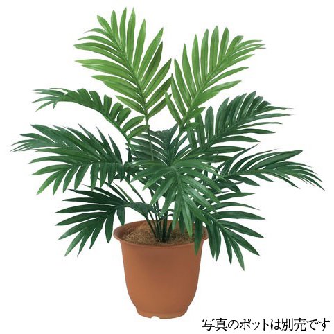 アレカヤシ 観葉植物 アレカパームブッシュ アレカヤシ 55cm 造花 フェイクグリーン 人工観葉植物 光触媒 CT触媒 インテリア 花言葉 元気 勝利 [G-L]