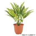 ウォータープルーフ トラディスカンチャブッシュ 40cm フェイクグリーン 屋外対応 観葉植物 造花 人工観葉植物 光触媒 CT触媒 インテリア 花言葉 誠実 ...