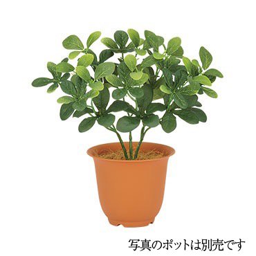 【マラソン期間中P5倍】人工観葉植物 トベラブッシュ 28cm 観葉植物 造花 フェイクグリーン 光触媒 CT触媒 インテリア [G-L]