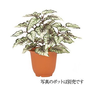 【マラソン期間中P5倍】フェイクグリーン ベゴニアブッシュ グリーン／ホワイト 22cm 観葉植物 造花 人工観葉植物 光触媒 CT触媒 インテリア [G-L]